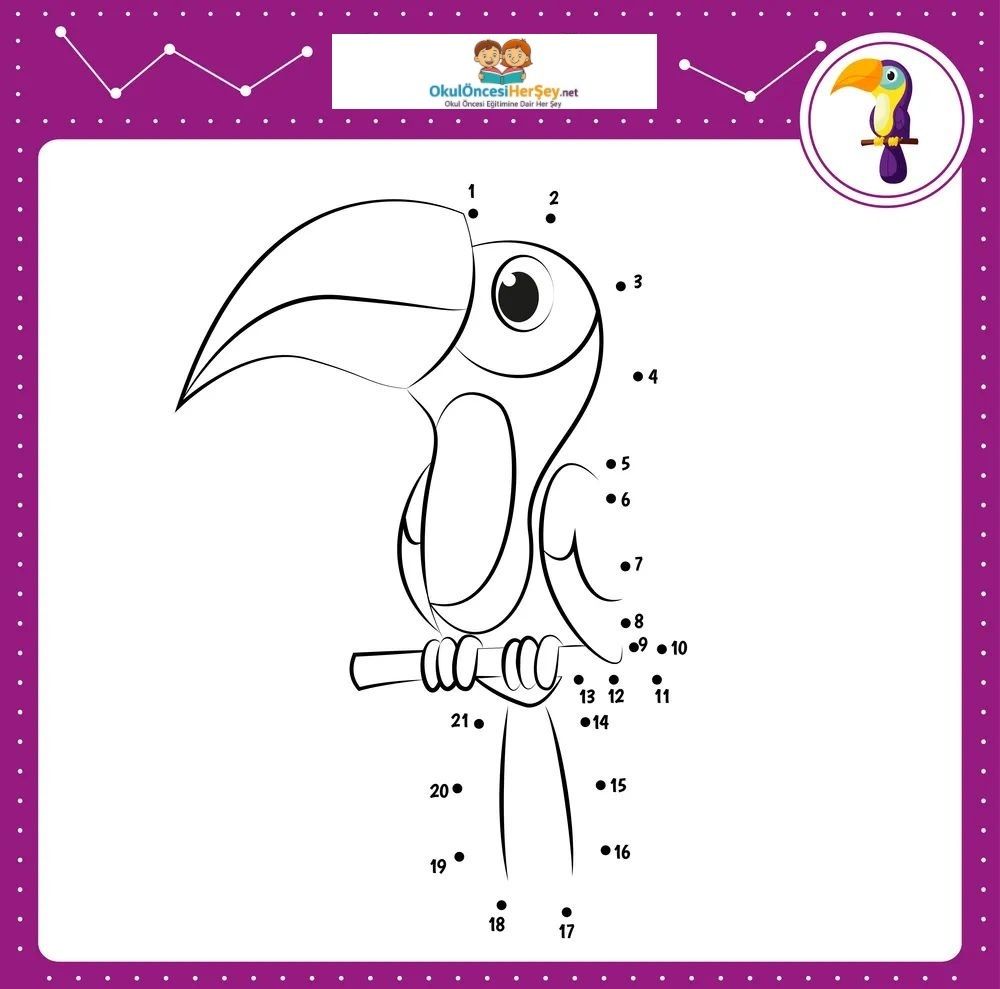 Çizgi Çalışmaları