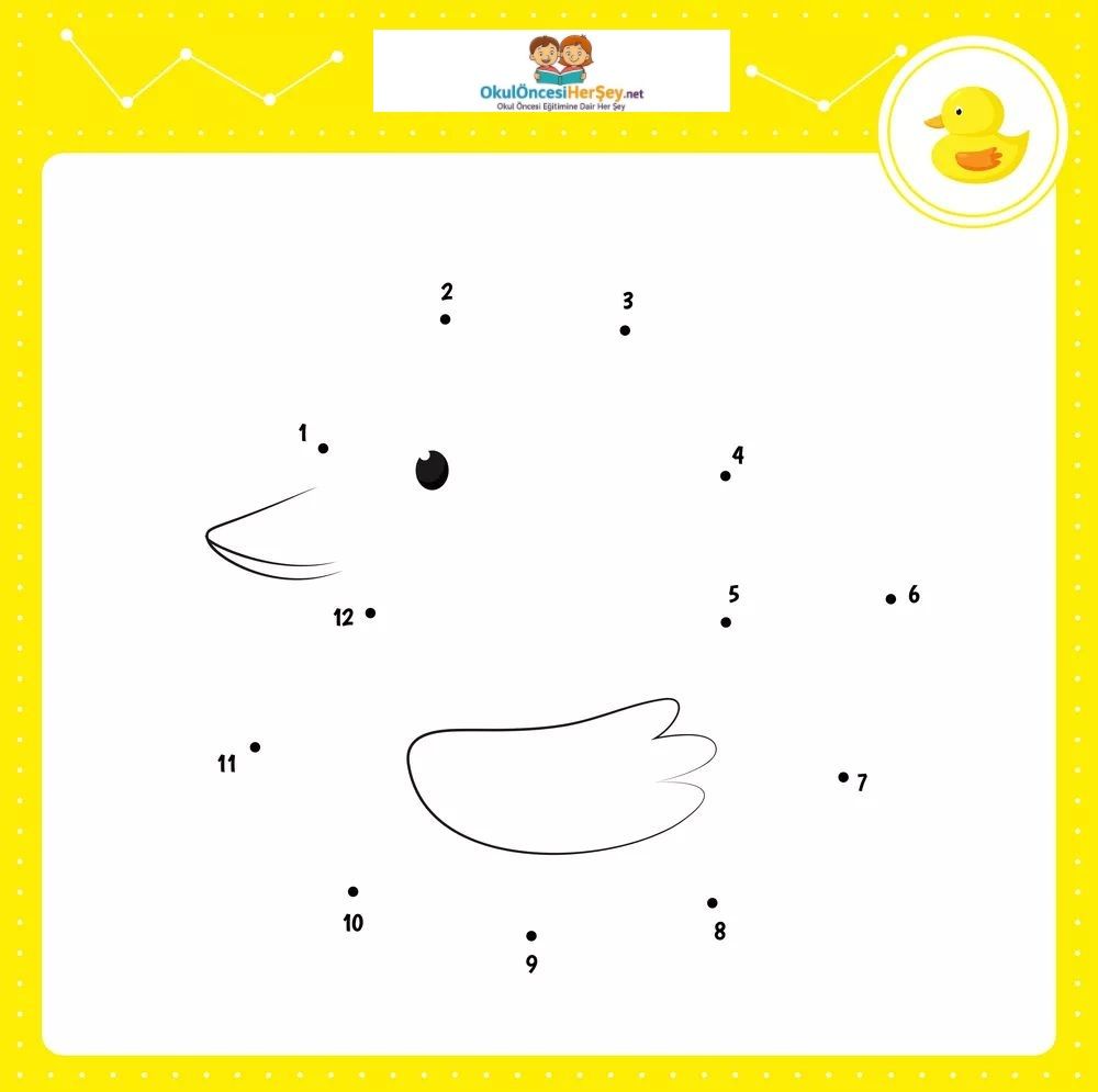 Çizgi Çalışmaları