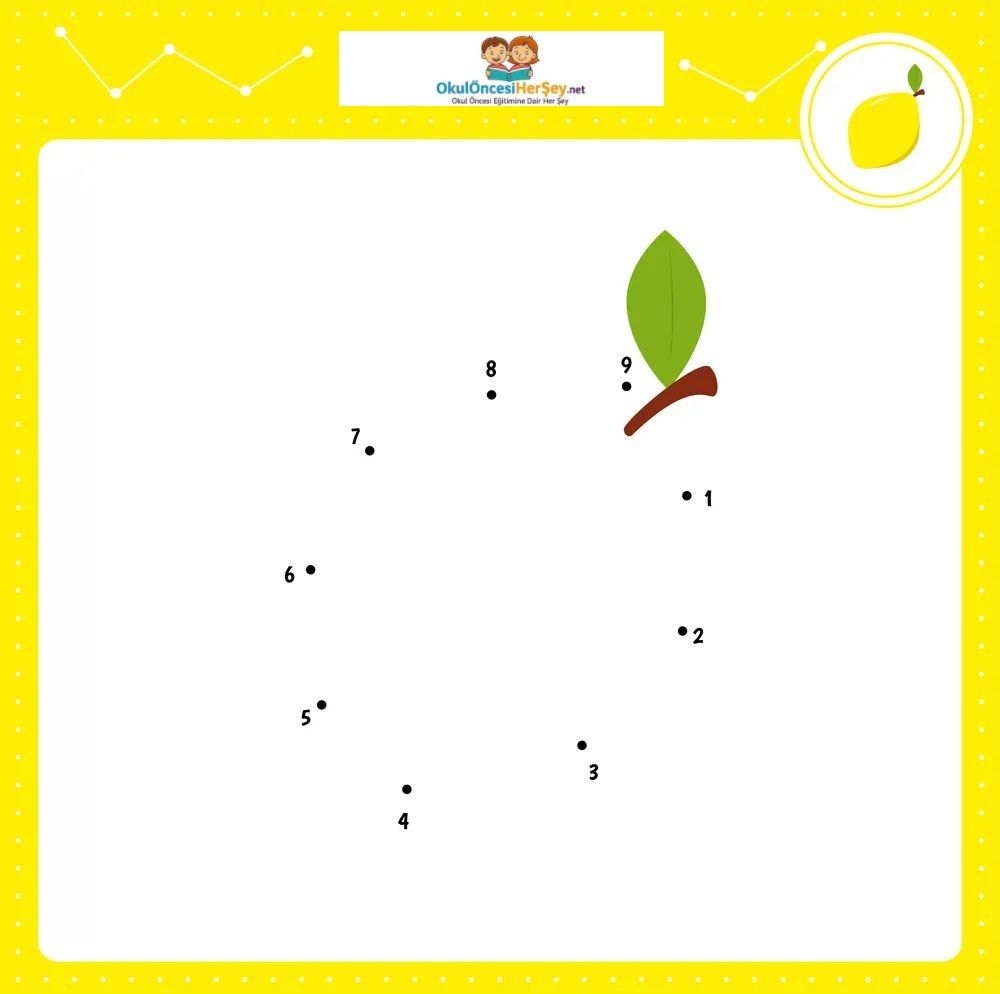 Çizgi Çalışmaları