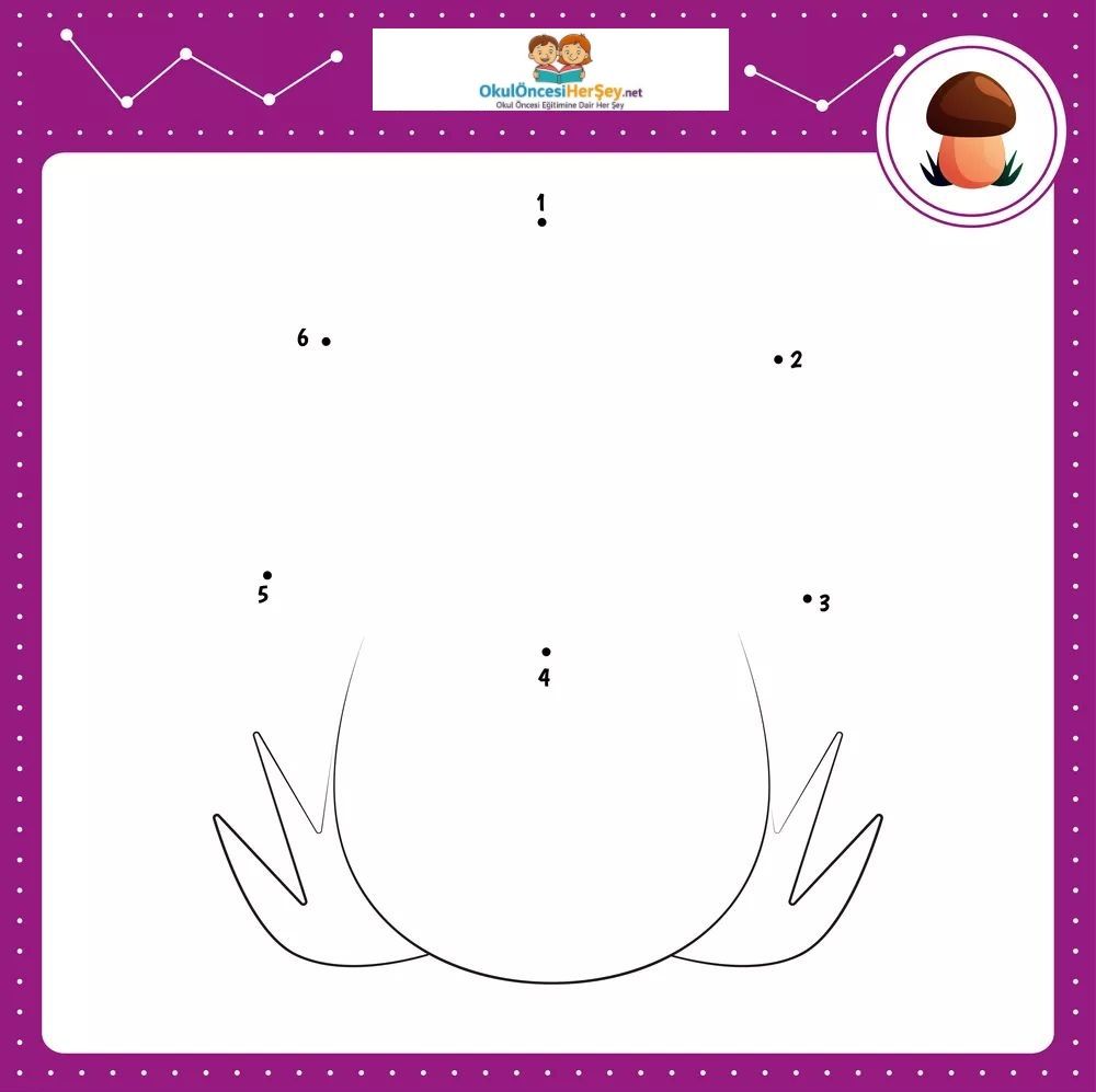 Çizgi Çalışmaları