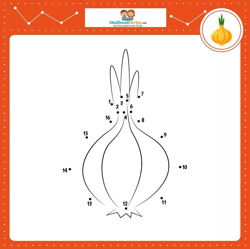 Çizgi Çalışmaları