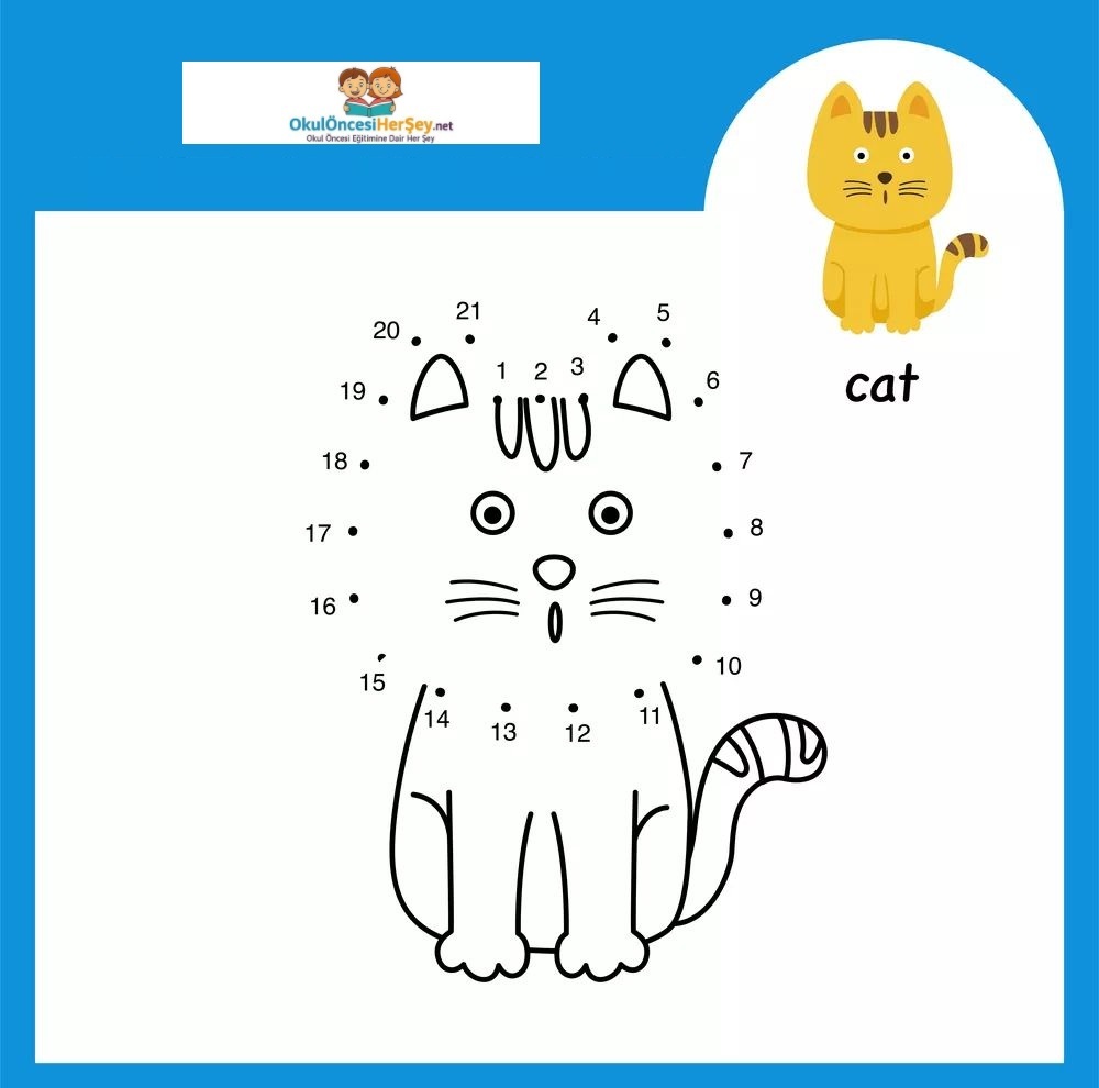 Çizgi Çalışmaları