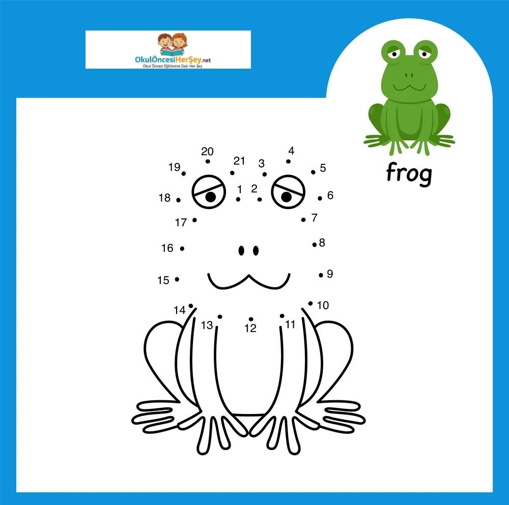 Çizgi Çalışmaları