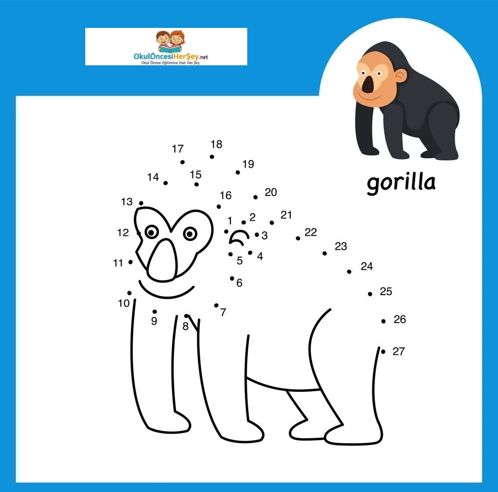 Çizgi Çalışmaları