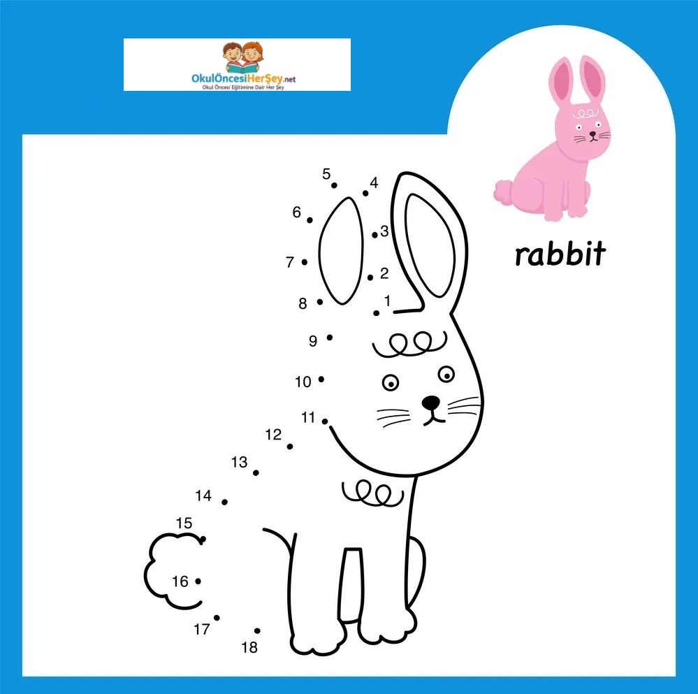 Çizgi Çalışmaları