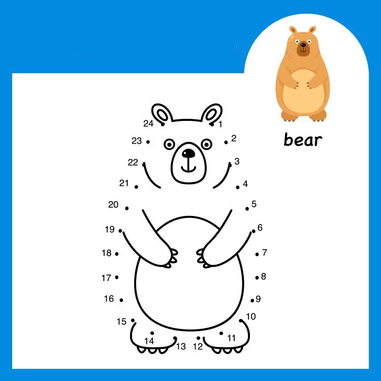 Çizgi Çalışmaları