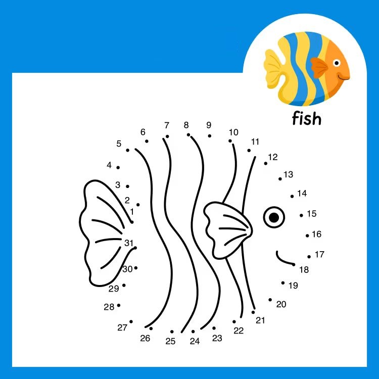 Çizgi Çalışmaları