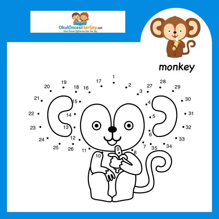 Çizgi Çalışmaları