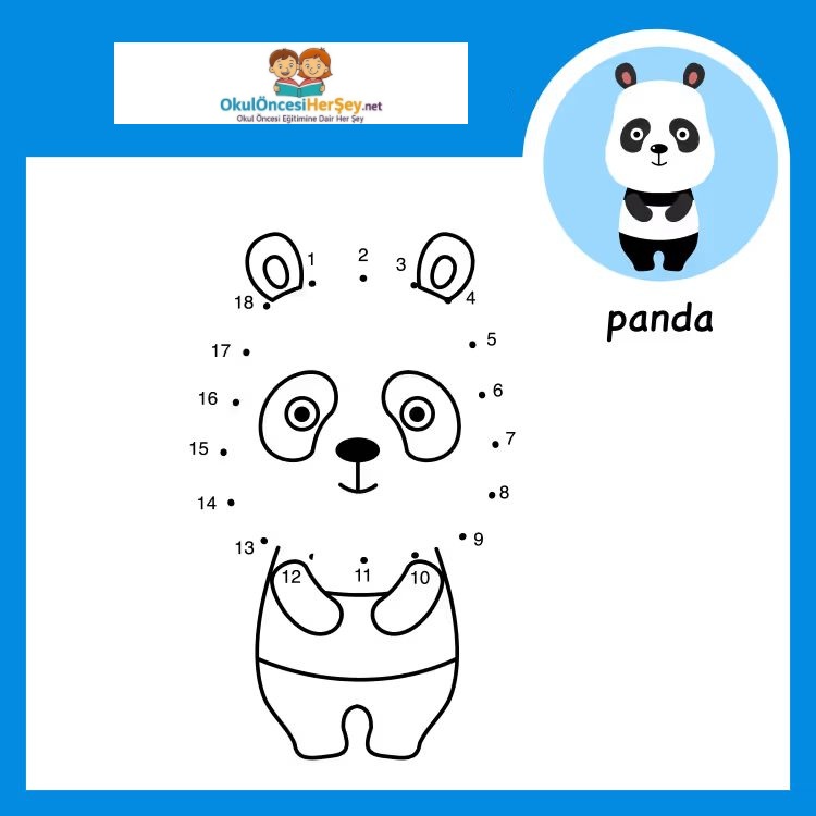 Çizgi Çalışmaları