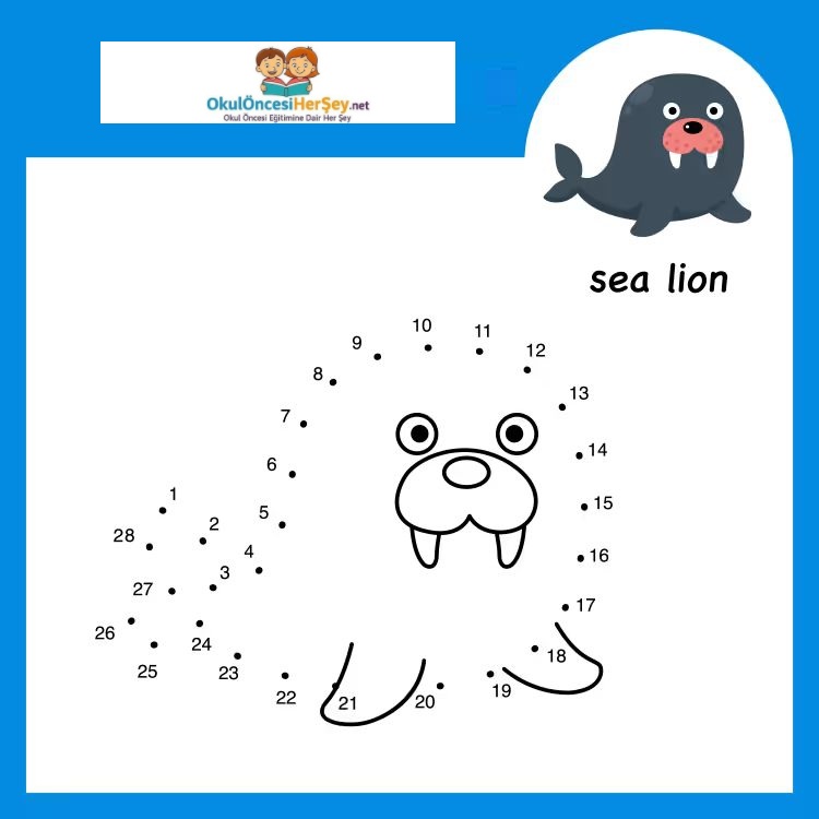 Çizgi Çalışmaları