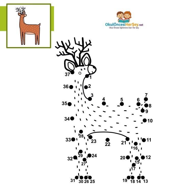 Çizgi Çalışmaları