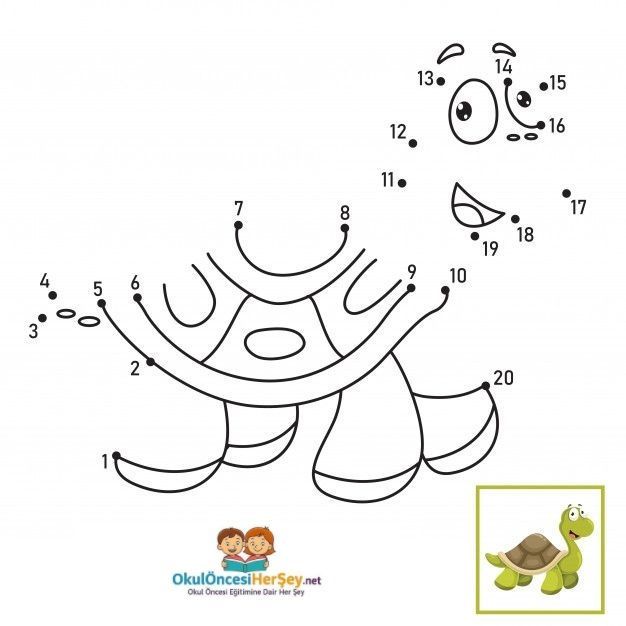 Çizgi Çalışmaları