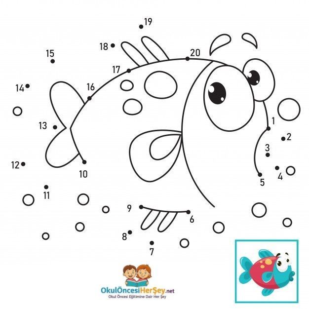 Çizgi Çalışmaları