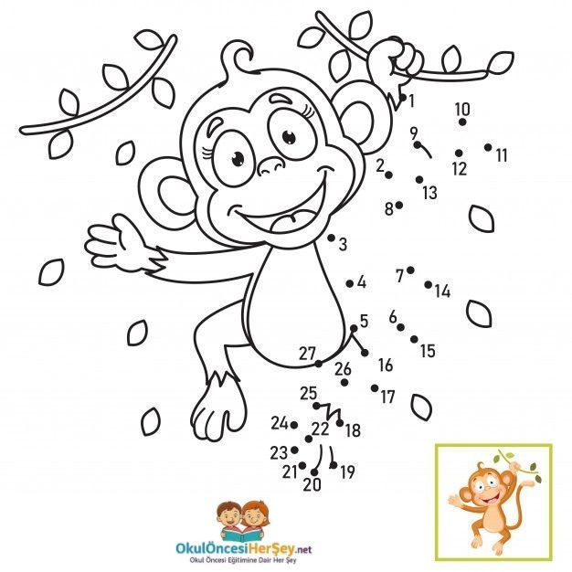 Çizgi Çalışmaları