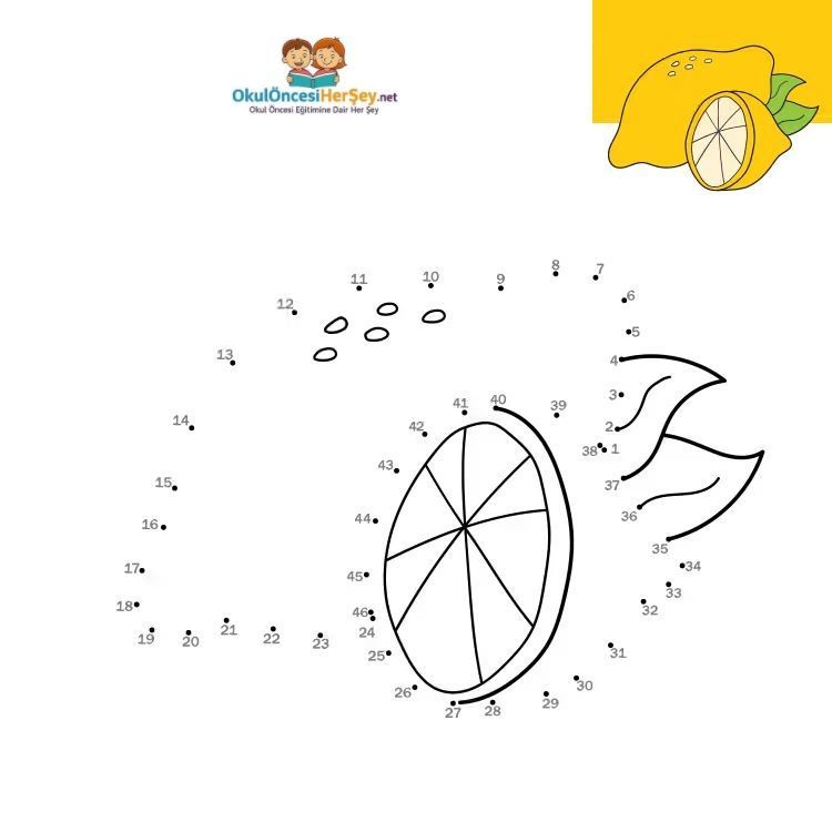 Çizgi Çalışmaları