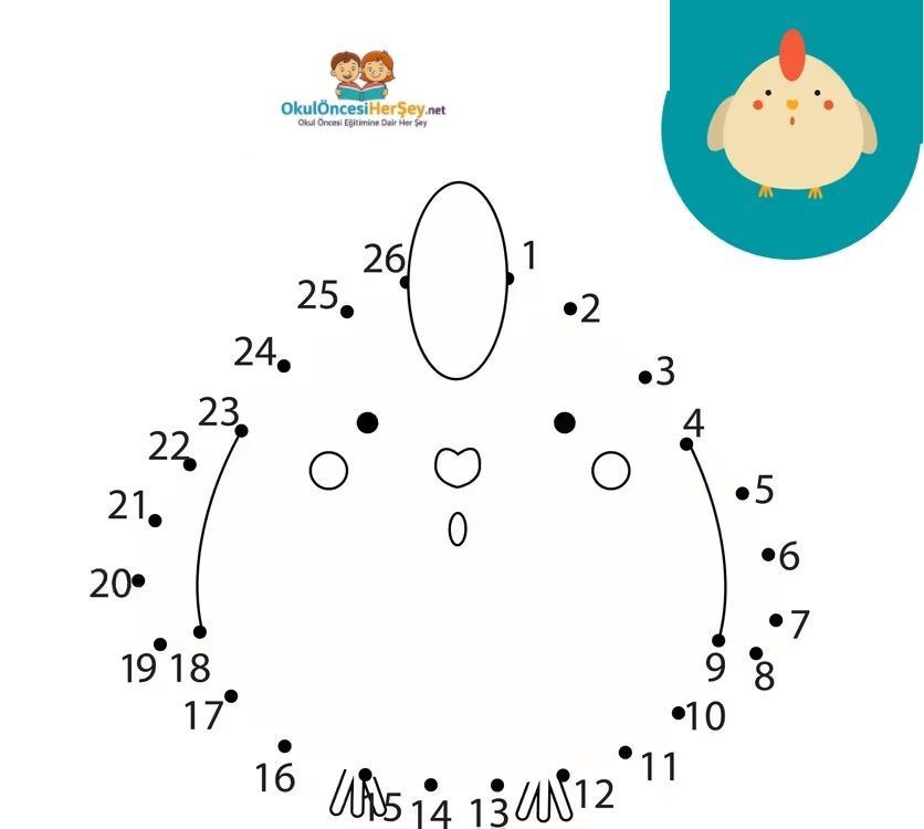 Çizgi Çalışmaları