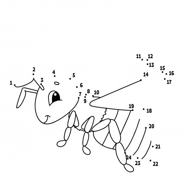 Çizgi Çalışmaları