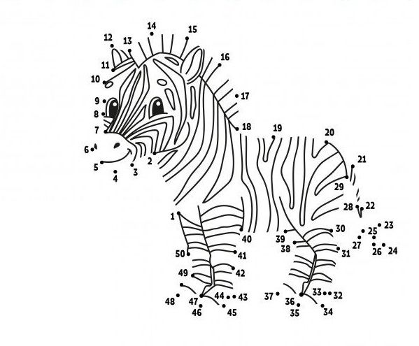 Çizgi Çalışmaları