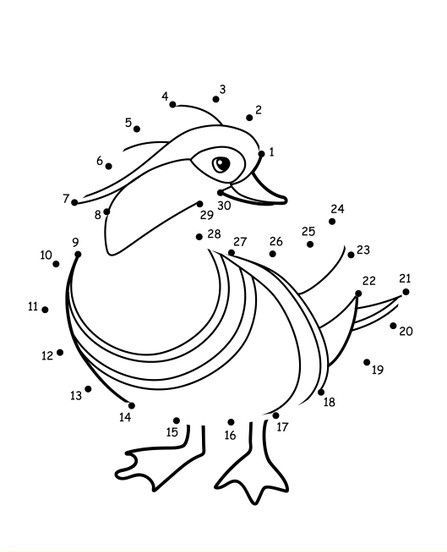 Çizgi Çalışmaları