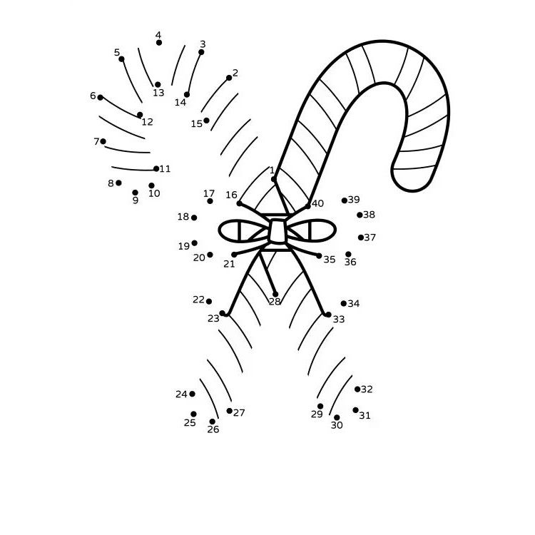 Çizgi Çalışmaları