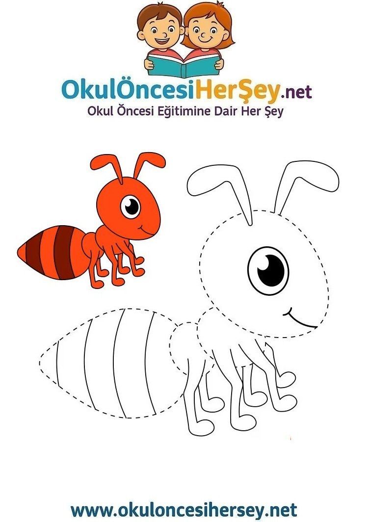 Çizgi Çalışmaları