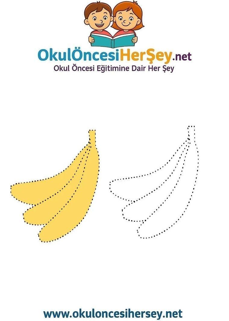 Çizgi Çalışmaları