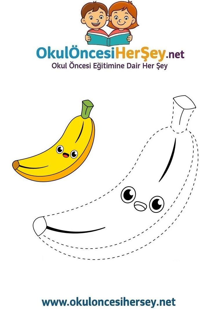 Çizgi Çalışmaları