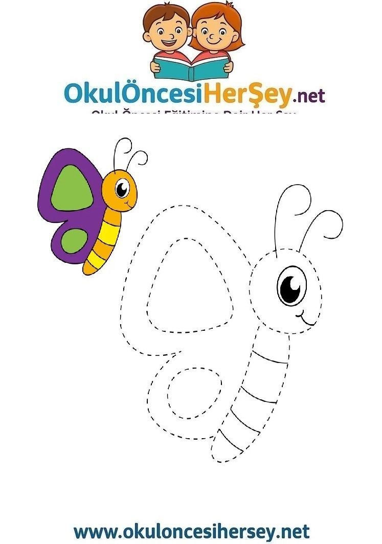 Çizgi Çalışmaları