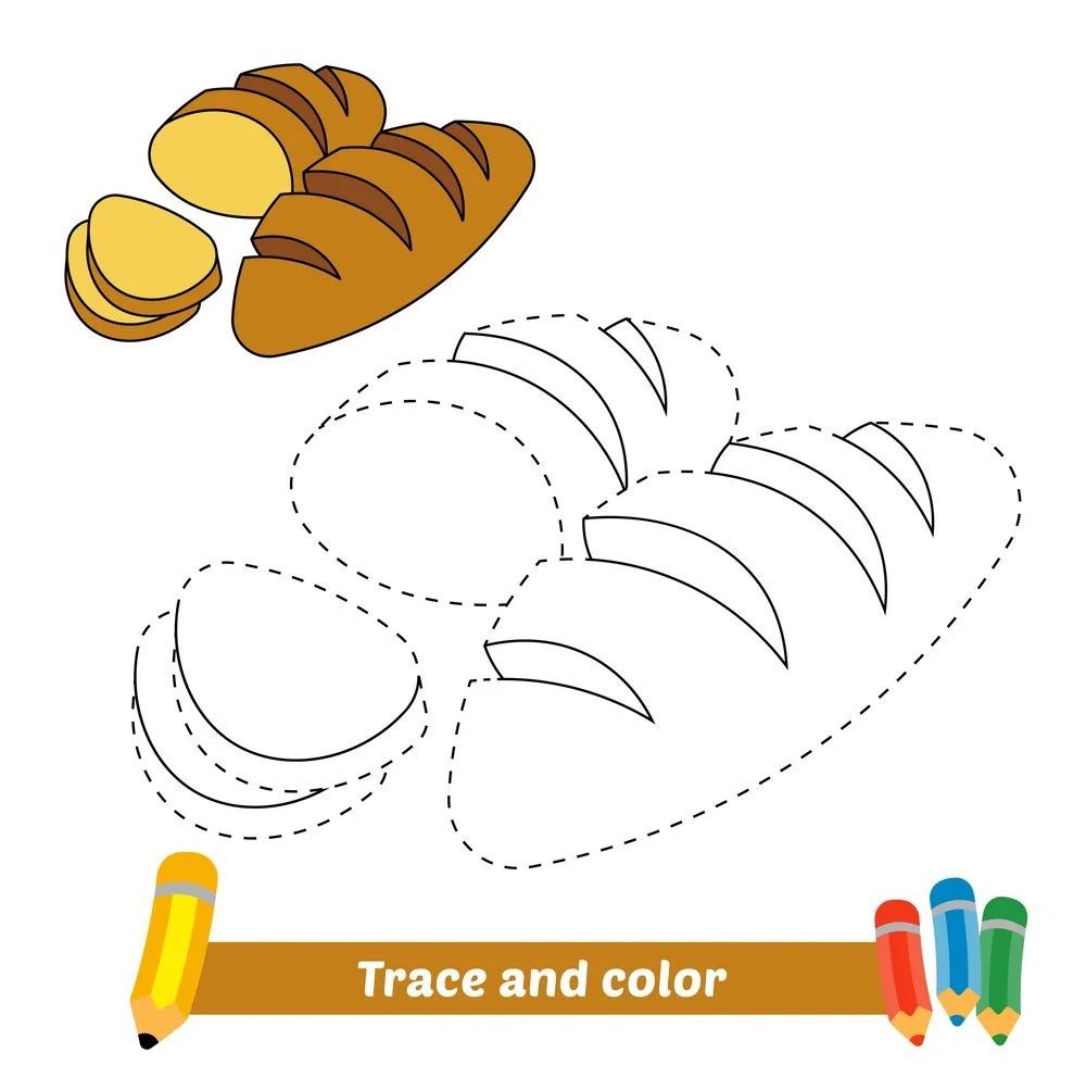 Çizgi Çalışmaları
