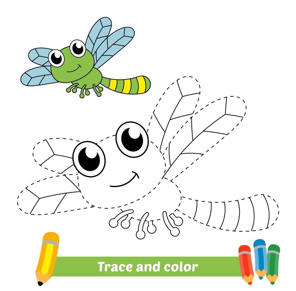 Çizgi Çalışmaları