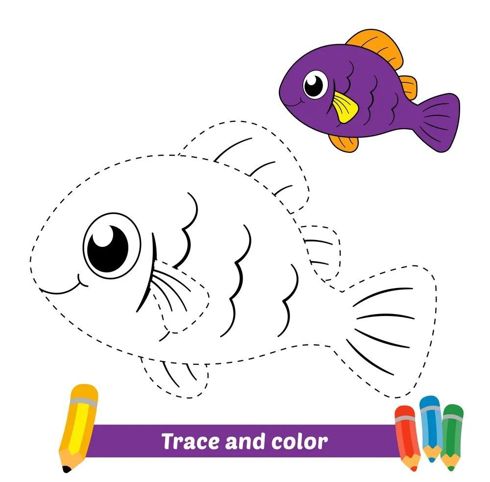 Çizgi Çalışmaları