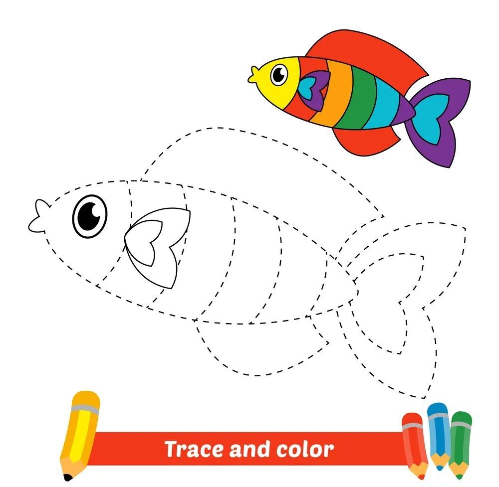 Çizgi Çalışmaları