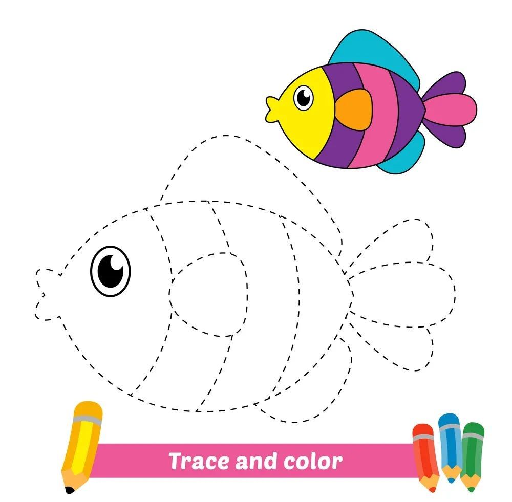 Çizgi Çalışmaları