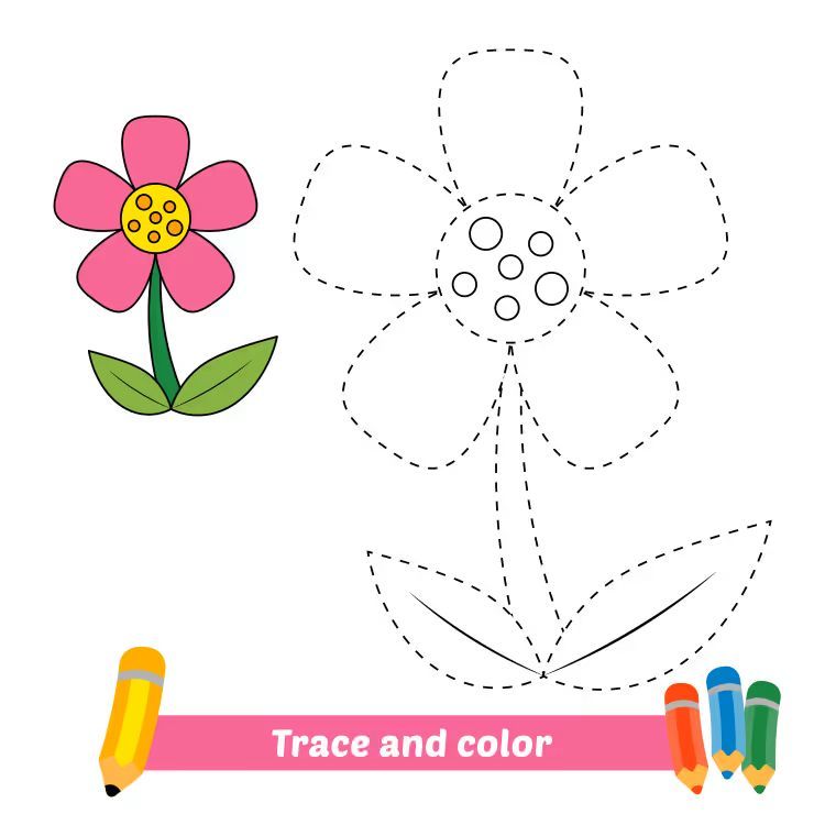 Çizgi Çalışmaları