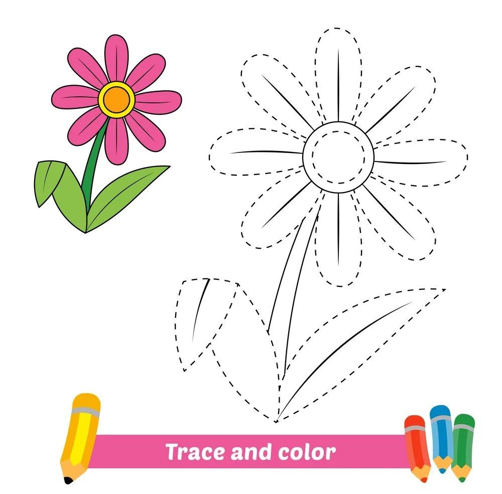 Çizgi Çalışmaları