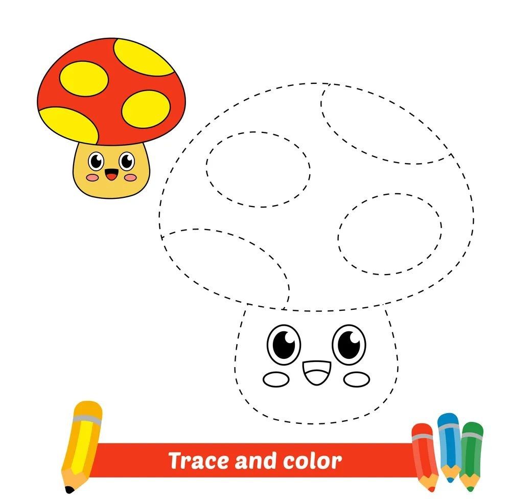 Çizgi Çalışmaları