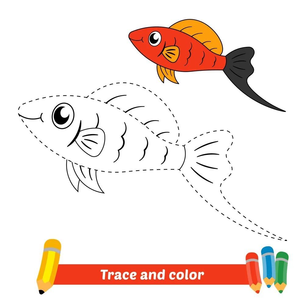 Çizgi Çalışmaları