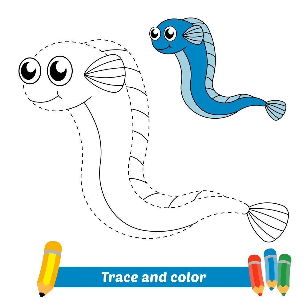 Çizgi Çalışmaları