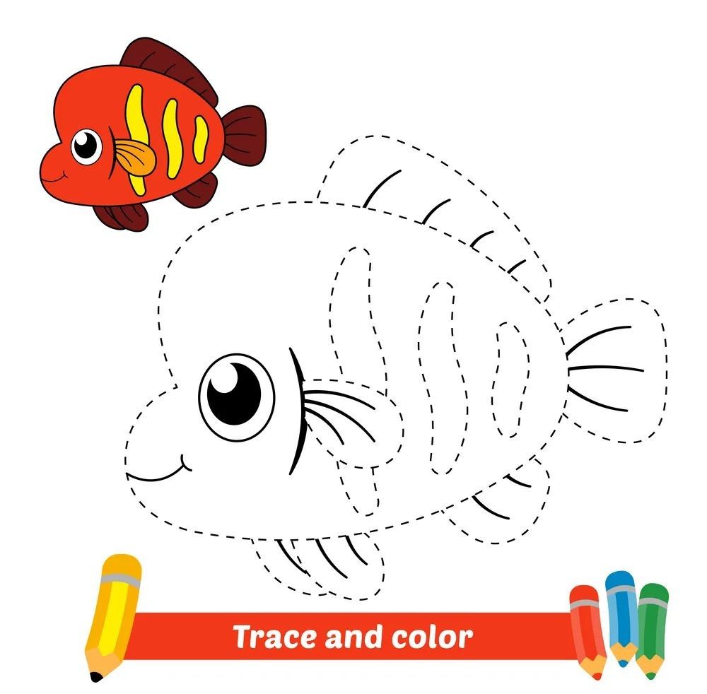 Çizgi Çalışmaları