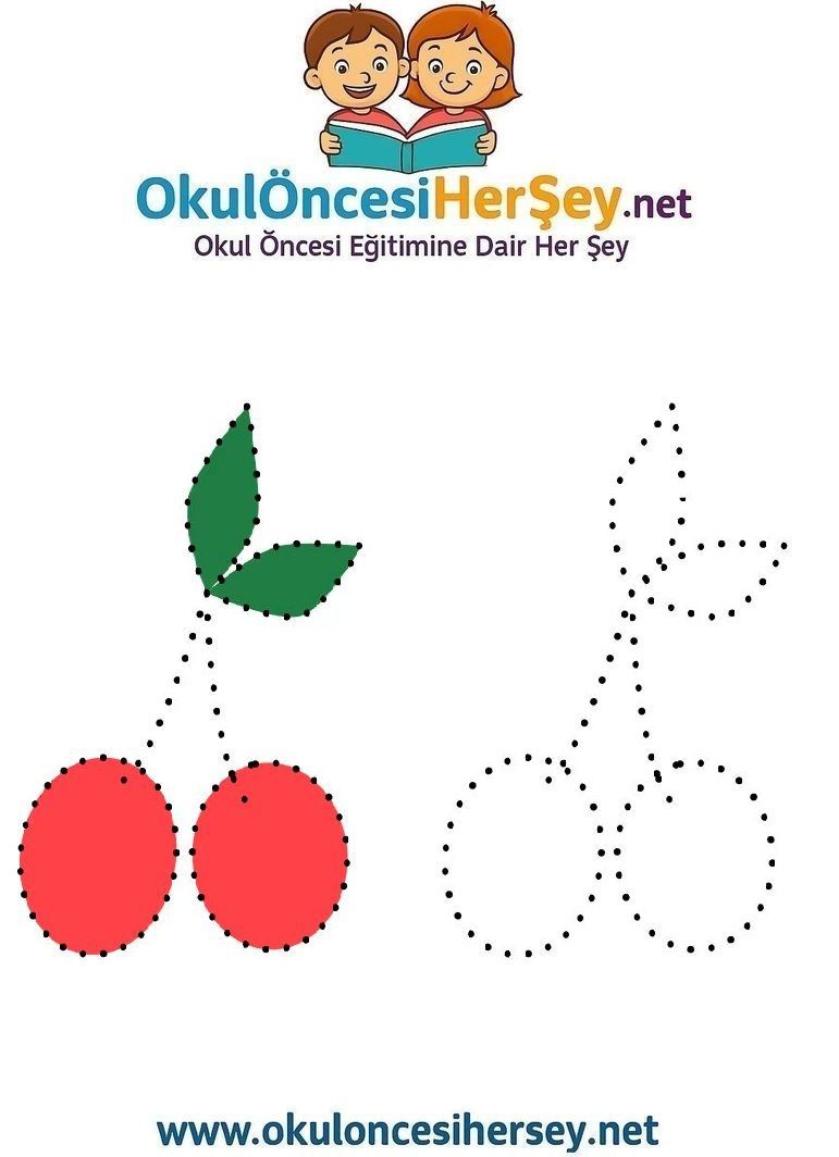 Çizgi Çalışmaları