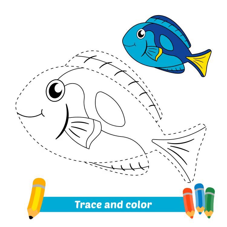 Çizgi Çalışmaları