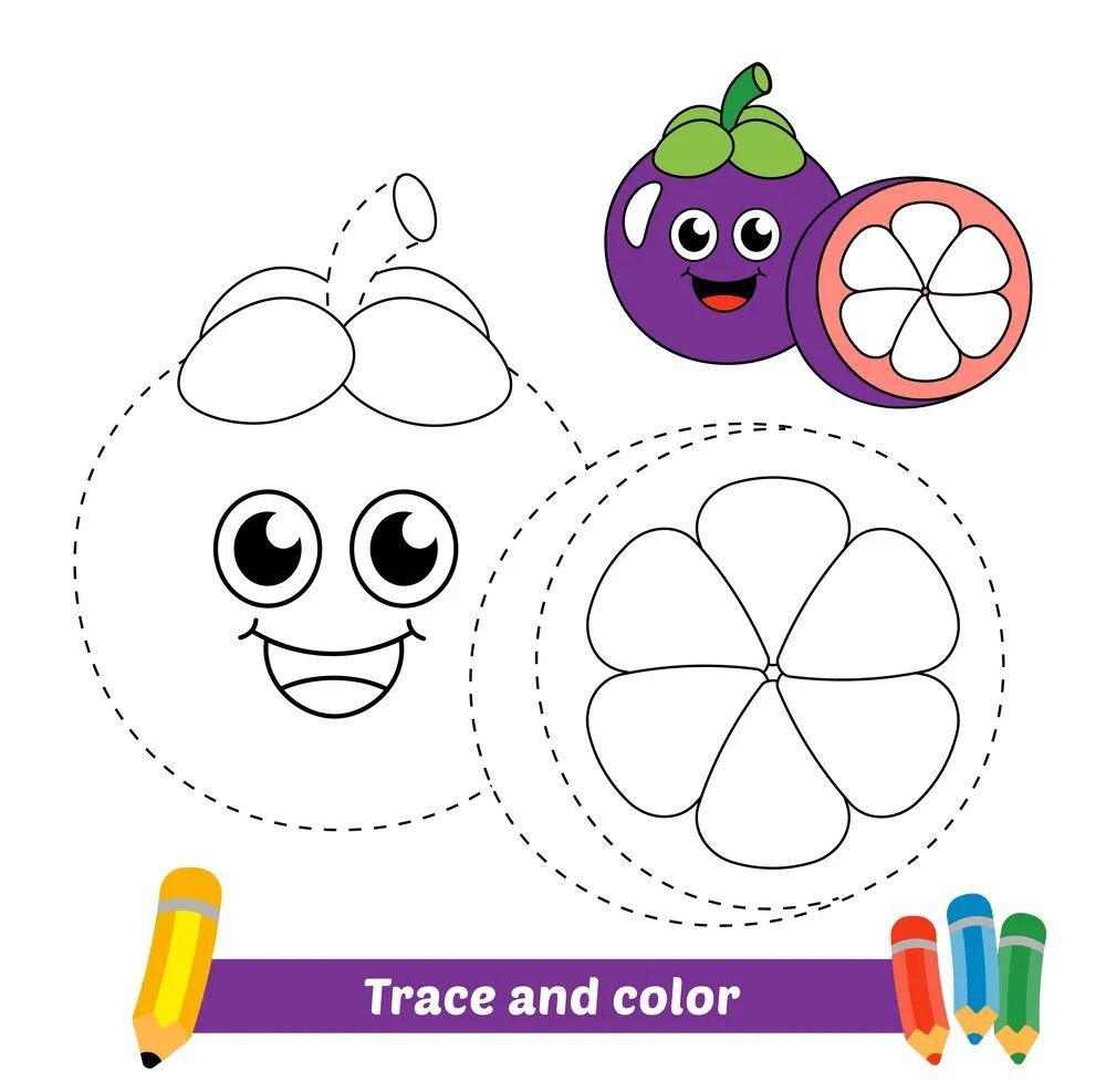 Çizgi Çalışmaları