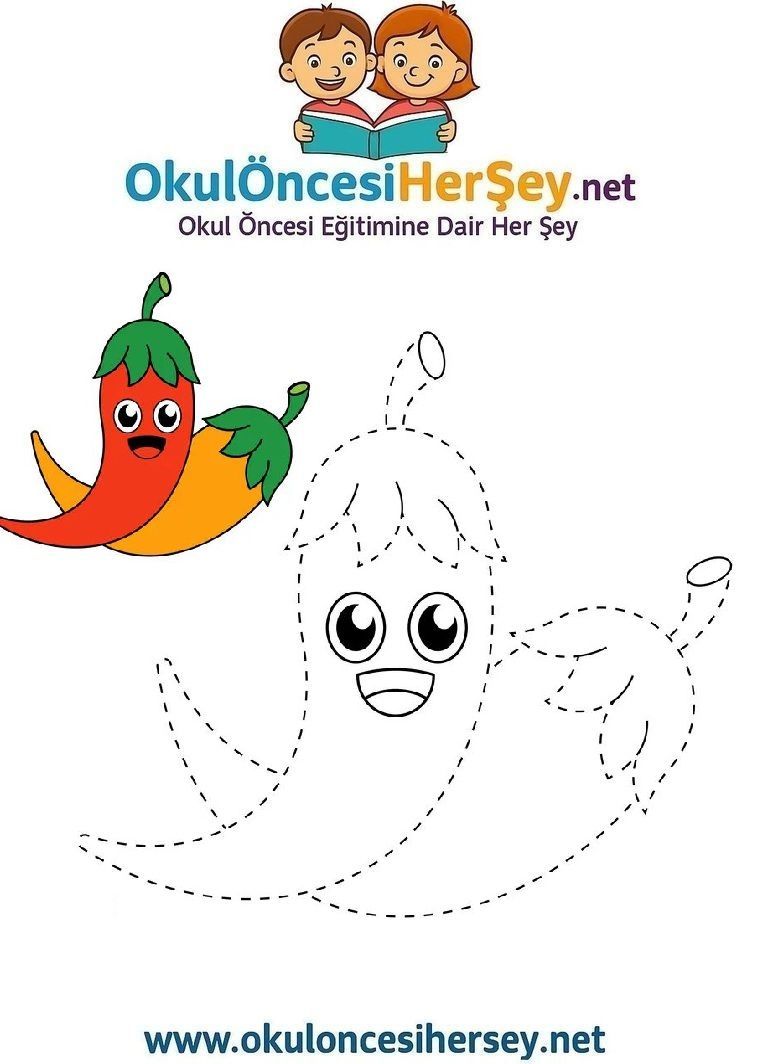 Çizgi Çalışmaları