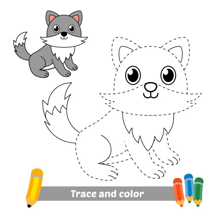 Çizgi Çalışmaları