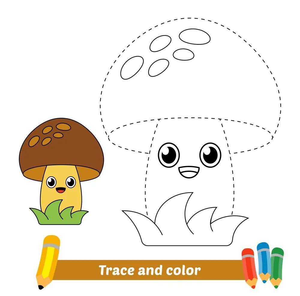 Çizgi Çalışmaları