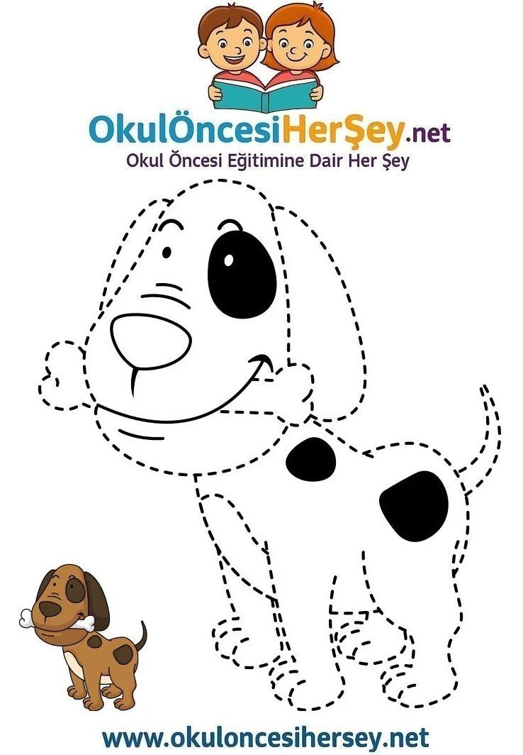 Çizgi Çalışmaları