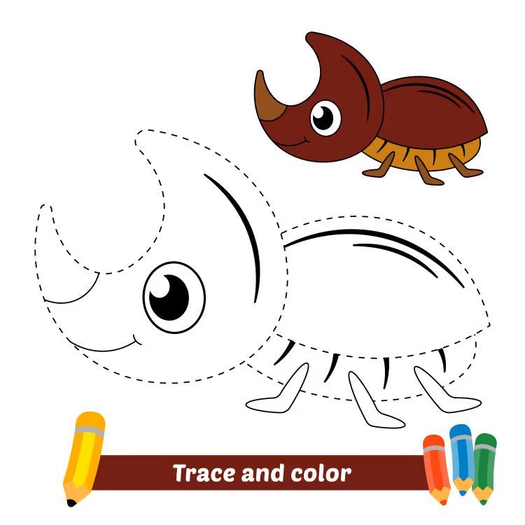 Çizgi Çalışmaları