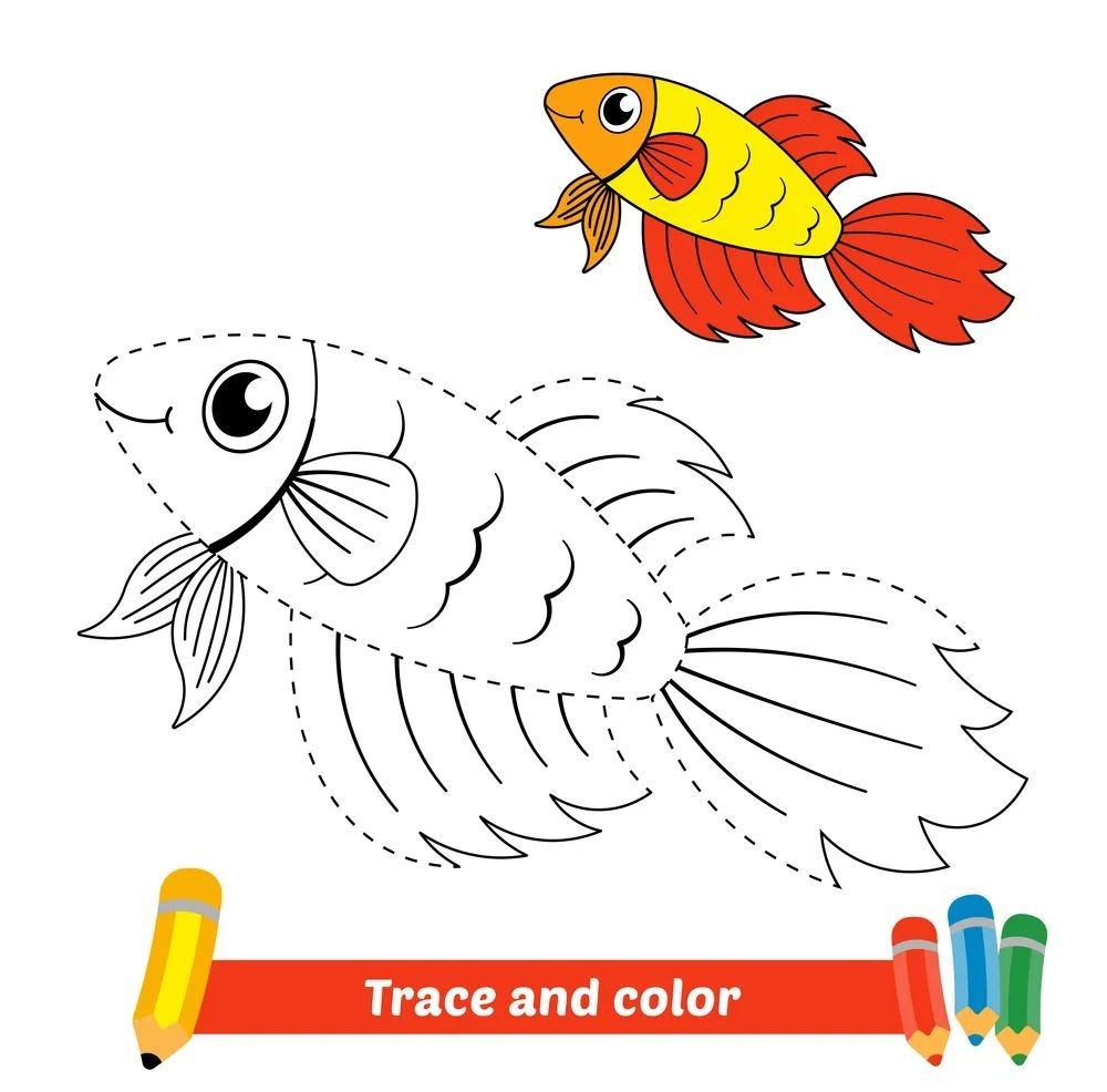 Çizgi Çalışmaları