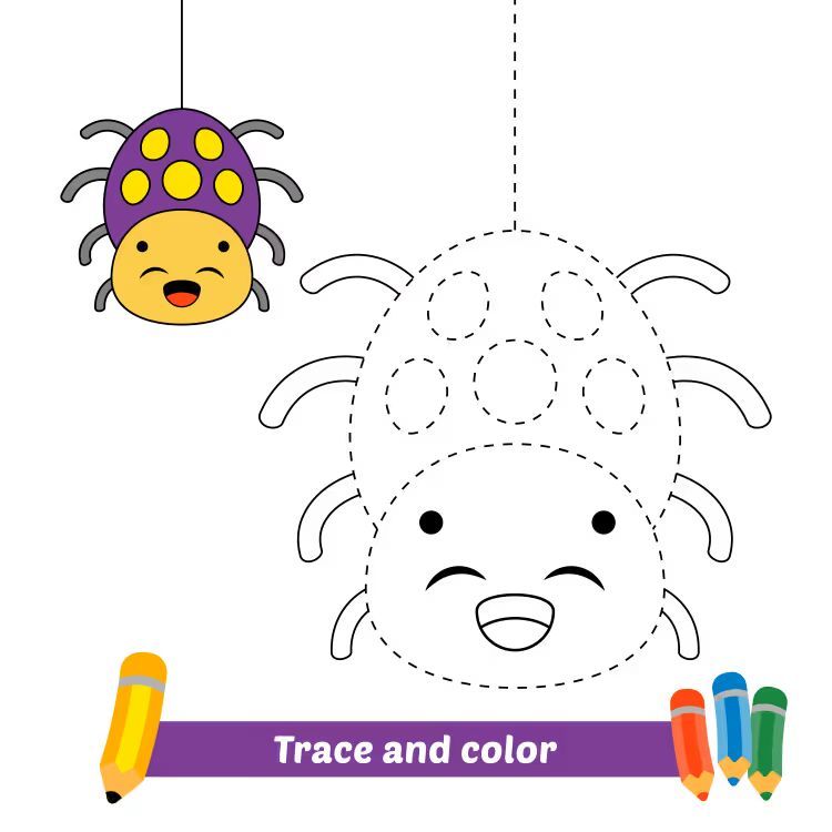 Çizgi Çalışmaları