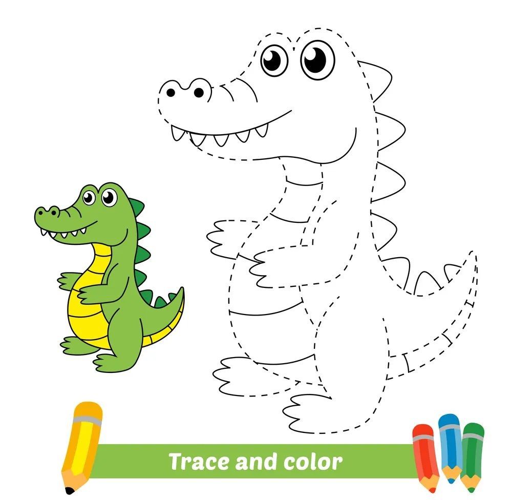 Çizgi Çalışmaları